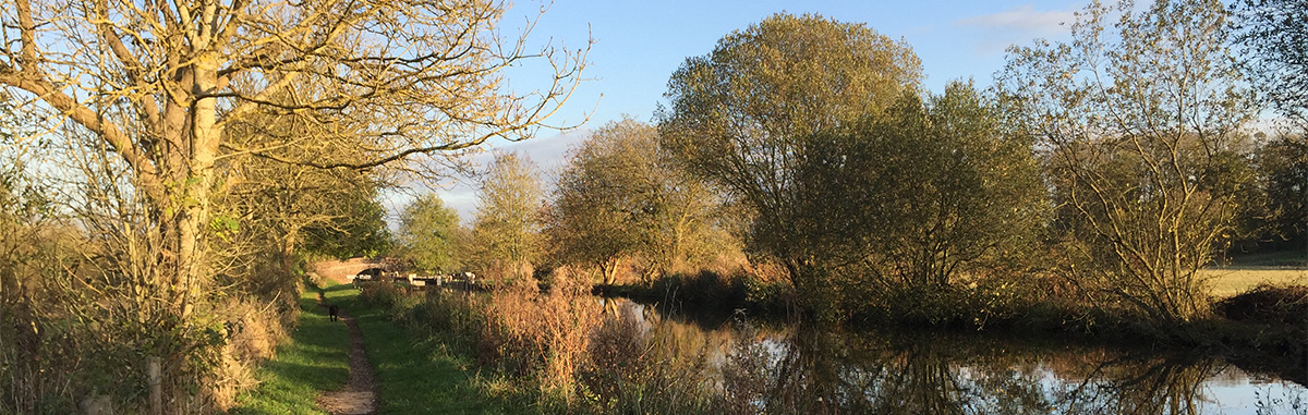 canal with trees